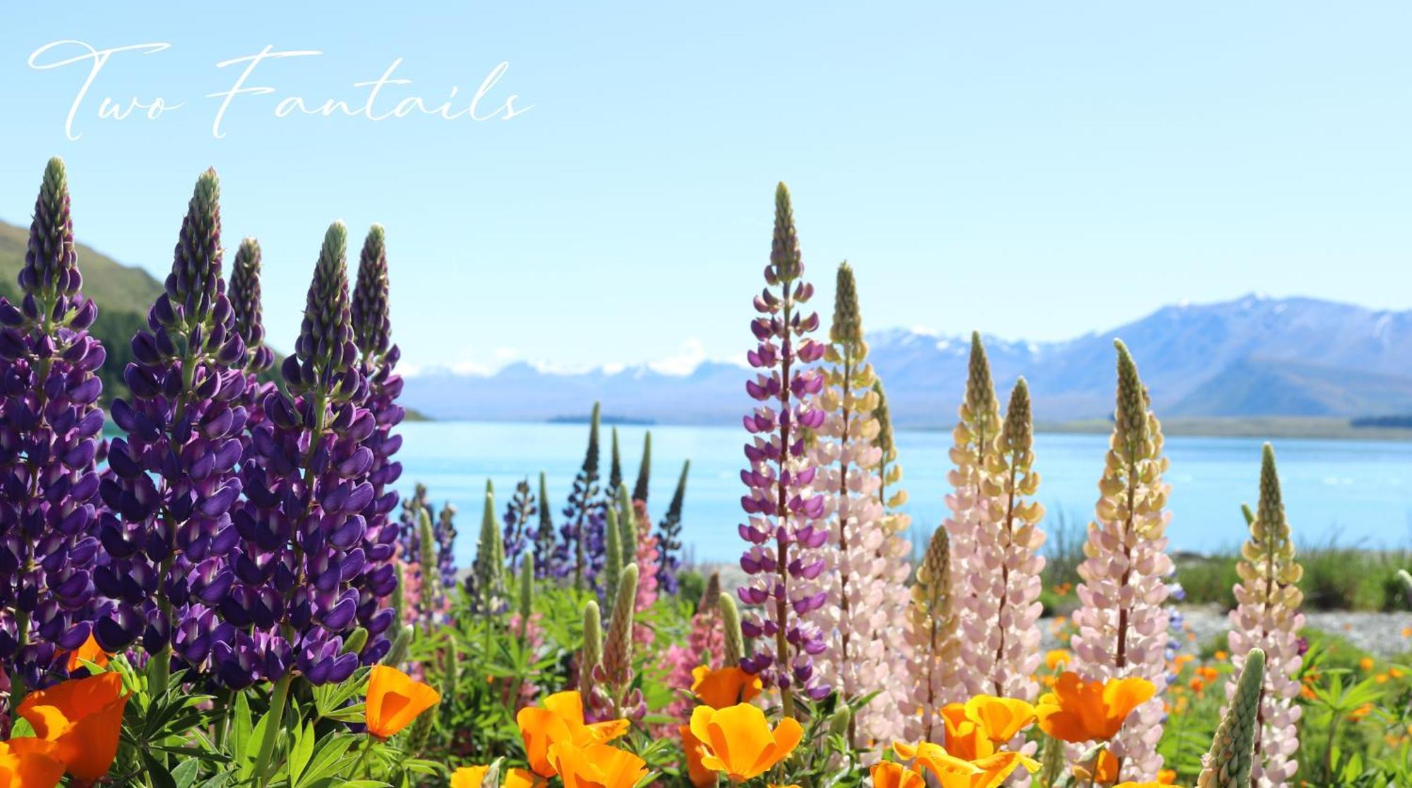 Two Fantails - Mountain Views Villa Lake Tekapo Buitenkant foto